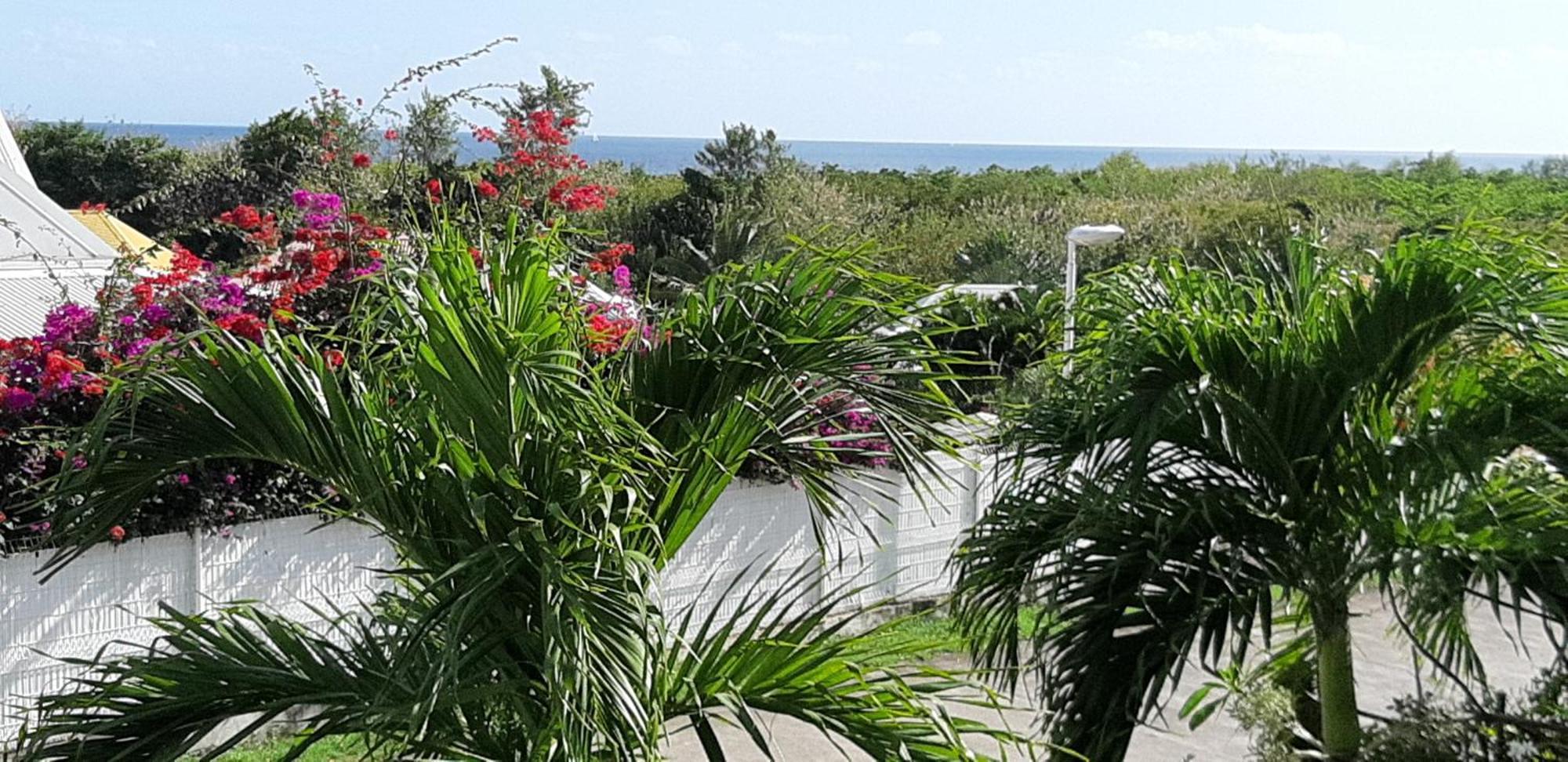 Bel Appartement T2 Vue Mer - Sainte Luce Dış mekan fotoğraf